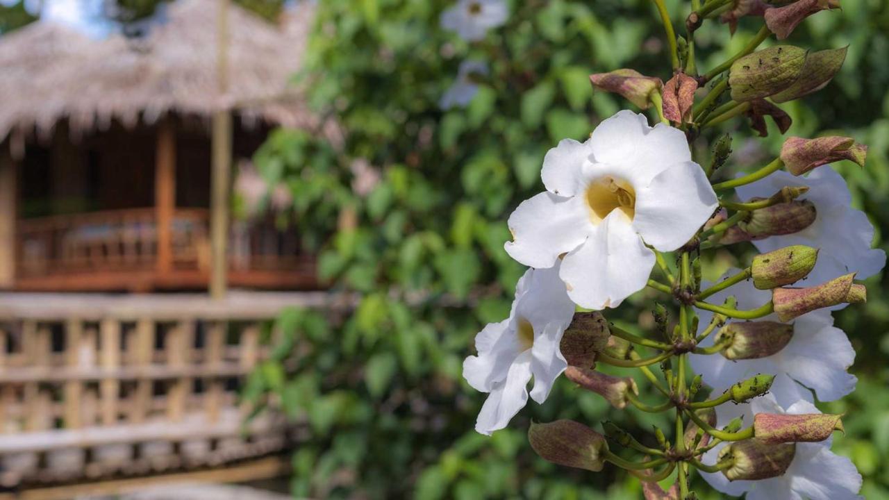 Onong'S Homestay & Cafe Tomohon ภายนอก รูปภาพ